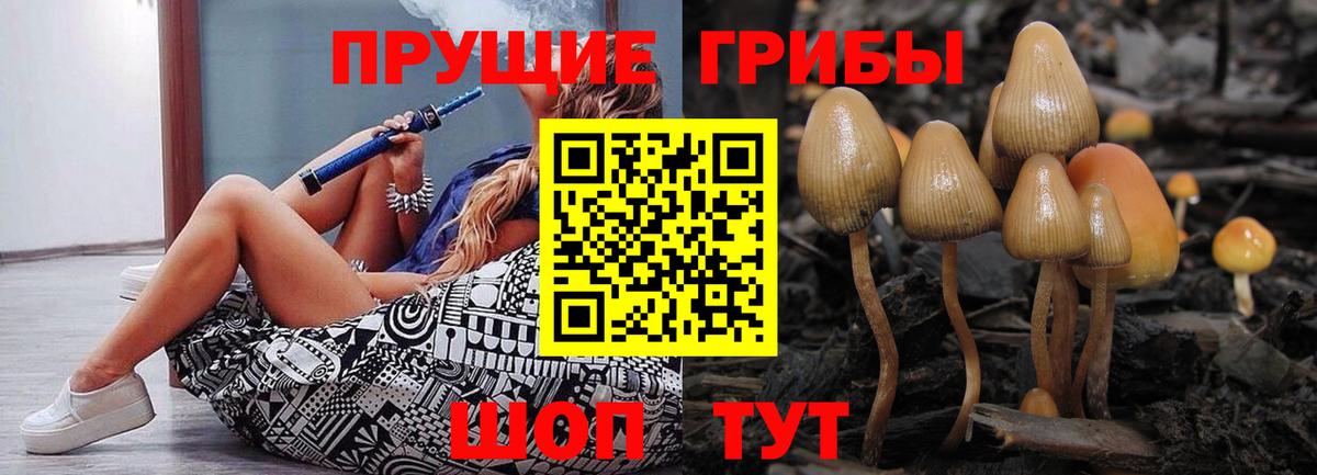 Дагестанские Огни  Галлюциногенные грибы прущие грибы  Вход с VPN 